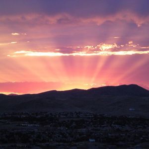 Meet your Posher, Marsha